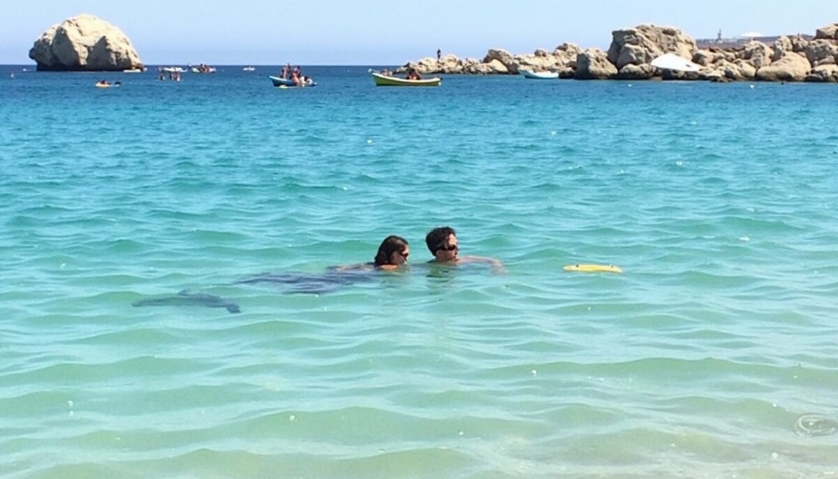 Limnionas Beach à Zante : une crique cachée idéale pour la baignade et le snorkeling
